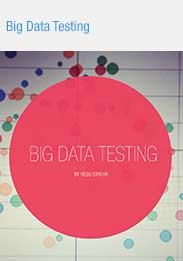 eBook cover: Big Data Testing