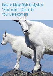 Whitepaper: How to Make Risk Analysis a First Class Citizen in Your Development